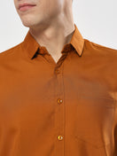 Switch BROWN SHIRT 3 image